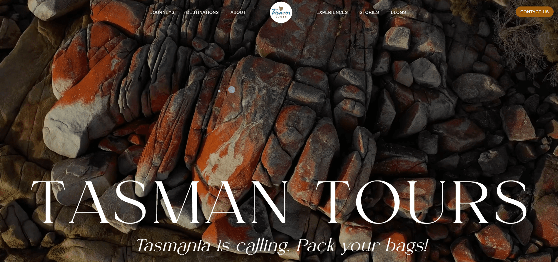 tasman-tours